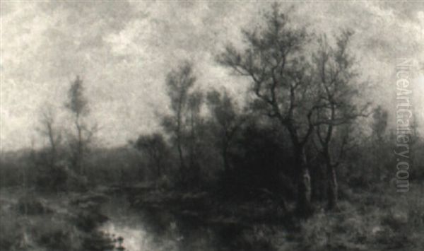 Landscape - view 1
