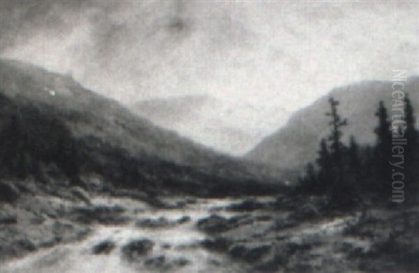 Cascading Mountain Stream - view 1