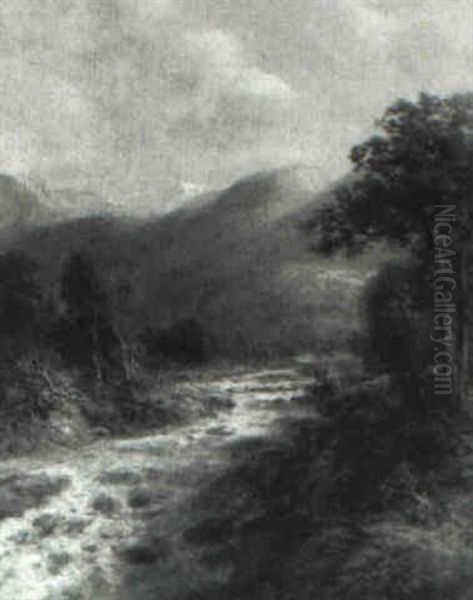 Mountain Stream - view 1