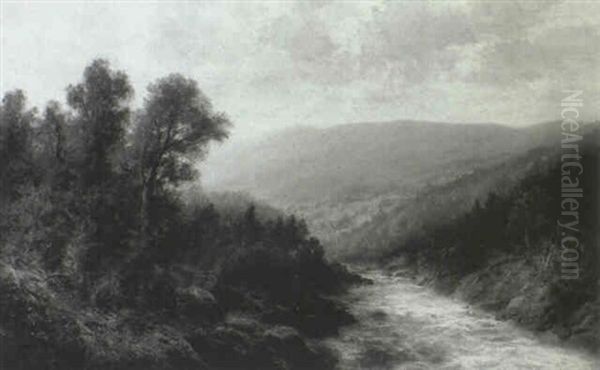 Mountain Stream - view 1