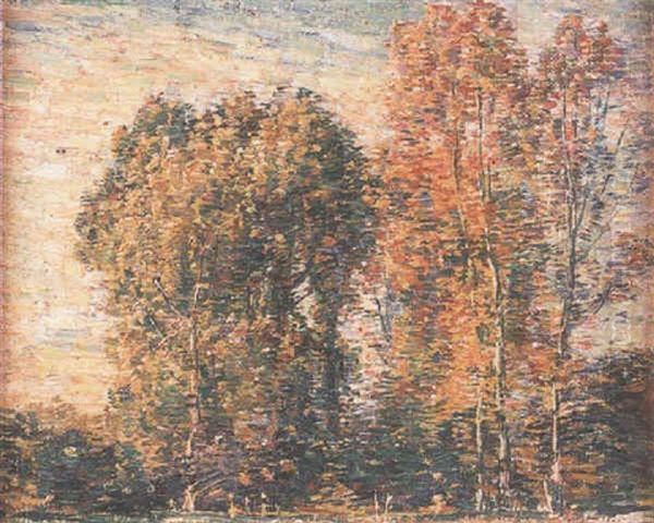 A Study Of Trees - view 1