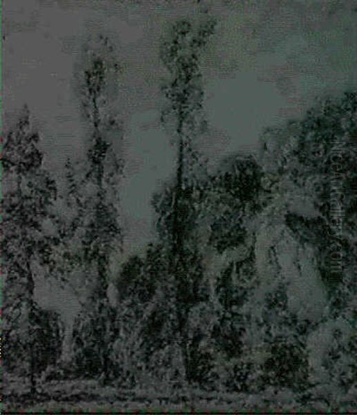 Landscape With Poplars - view 1