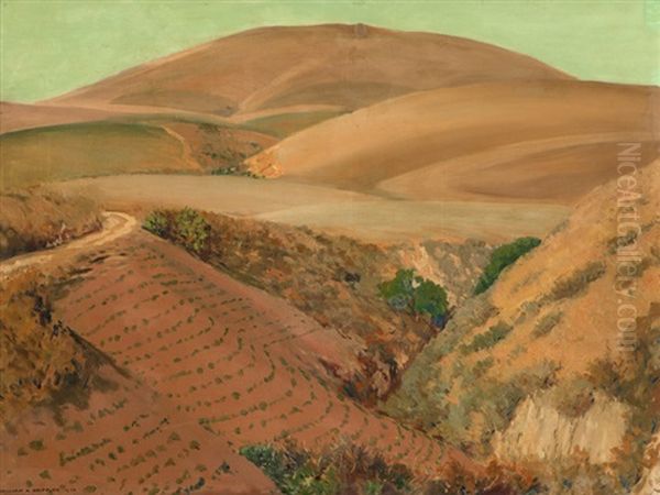 Rolling Hills - view 1