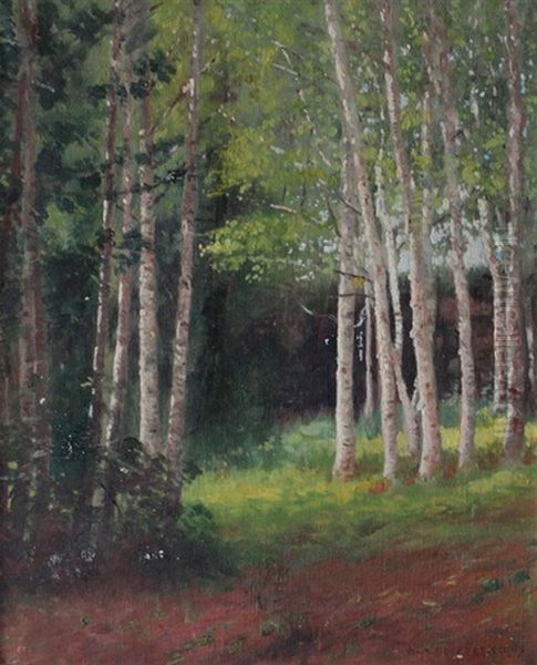 Forest Landscape - view 1