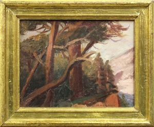 Trees On A Bluff