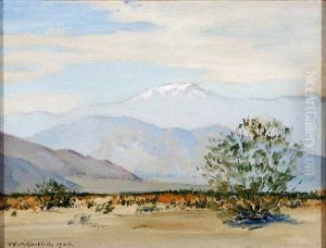 Desert Study