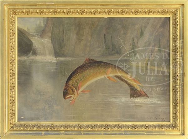 Leaping Brook Trout - view 1
