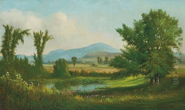 A View Of The White Mountains - view 1
