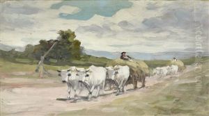 Hay Carts