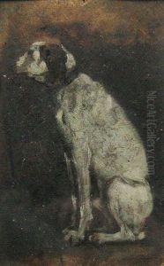 Dog Study Dog Study