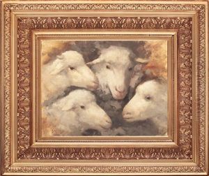 Sheep Sheep
