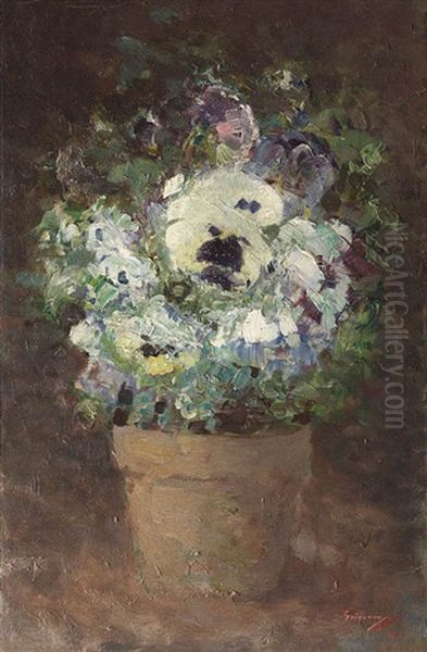 Pansies - view 1