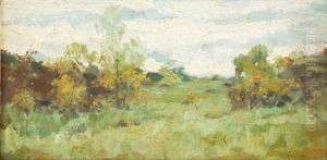 Paysage Paysage