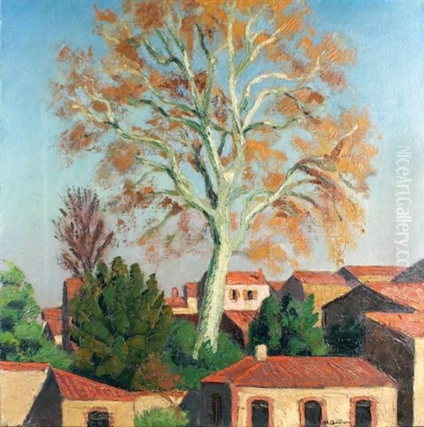 Vue De Prades - view 1