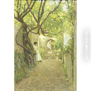 Woman Reading In A Shaded Courtyard Woman Reading In A Shaded Courtyard