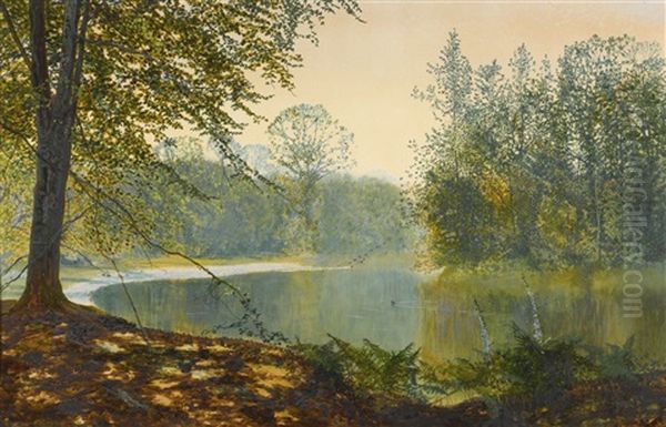 The Quiet Of The Lake, Roundhay Park - view 1