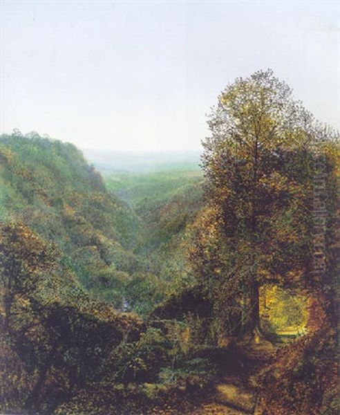 Bolton Woods - view 1