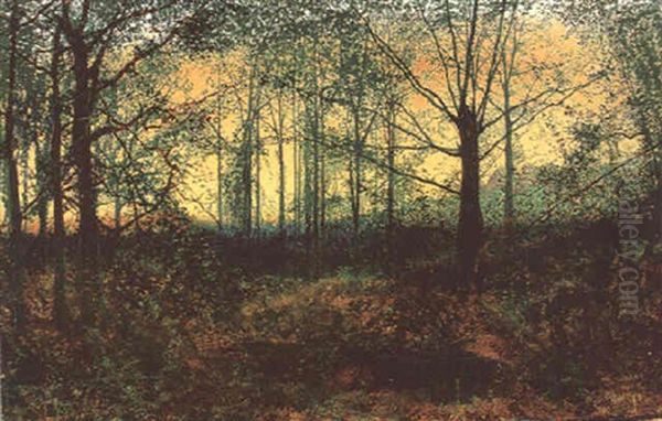 Horsforth Woods, Near Leeds - view 1