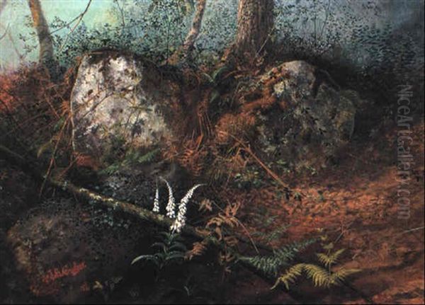 Newlay Wood - view 1