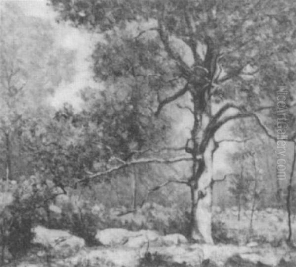 Autumn Landscape - view 1