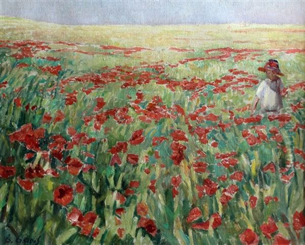 Boy In A Poppy Field - view 1