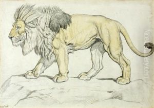 Study Of A Lion On Rocky Ground by Ernest Henry Griset