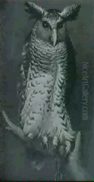 An Eagle Owl - view 1