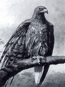 An Eagle