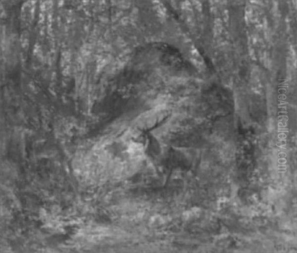 Hirsch Und Rehe In Waldlichtung - view 1
