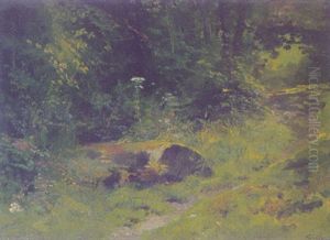 Pfad Im Wald Pfad Im Wald