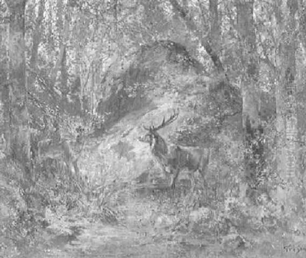 Hirschrudel Im Walddickicht - view 1