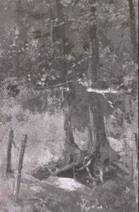 Waldlichtung Mit Baumen by Francois Adolphe Grison