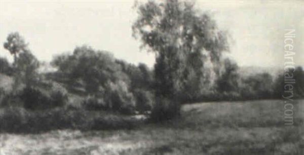 Landscape - view 1
