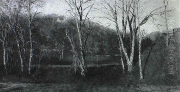 Autumn Birches - view 1