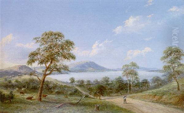 The Yan Yean From The Woodstock Road - view 1