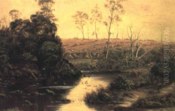 Rural Landscape With River And Birds - view 1