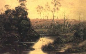Rural Landscape With River And Birds Rural Landscape With River And Birds