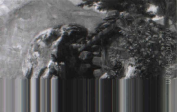 Hasliberg - view 1