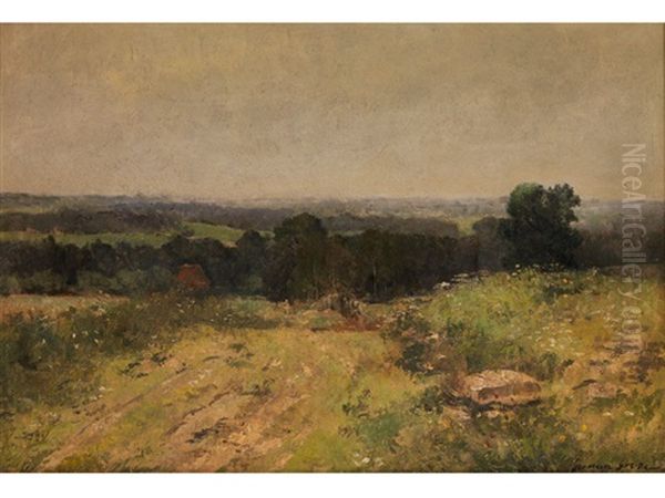 Sommerlandschaft - view 1