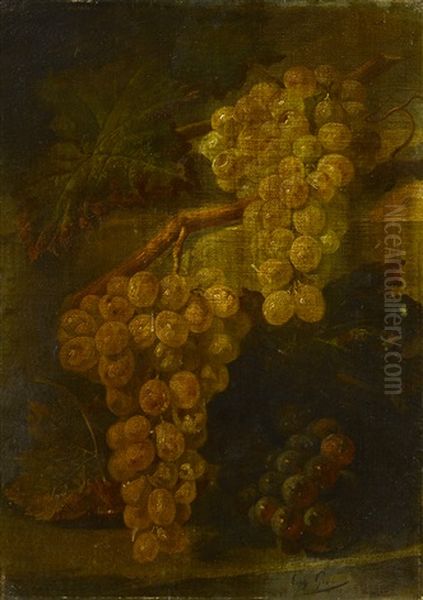 Grappe De Raisin - view 1