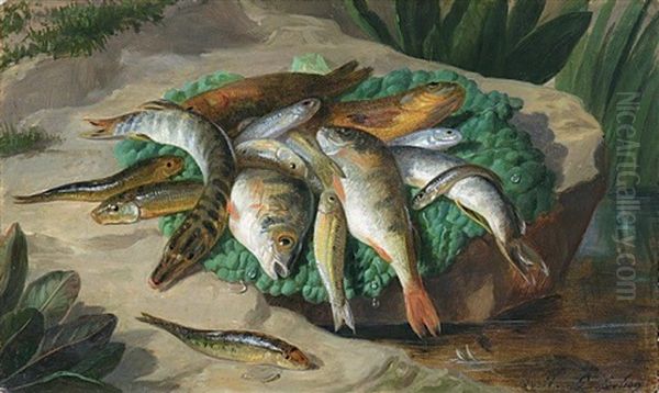 Nature Morte Aux Poissons - view 1