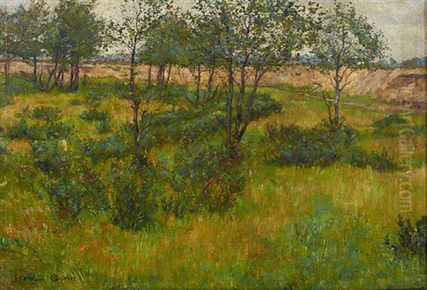Moorlandschaft Mit Buschen Und Baumen - view 1