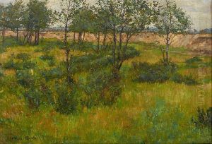 Moorlandschaft Mit Buschen Und Baumen by Hermann Groeber