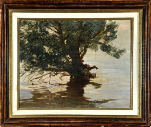 Fraueninsel - Von Wasser Umspulter Baum Fraueninsel - Von Wasser Umspulter Baum