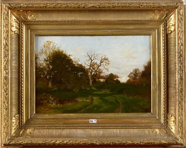 Paysage - view 1