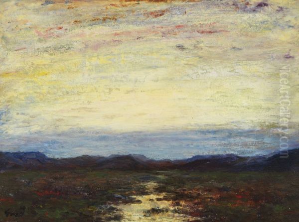 Sunset In Nevada - view 1