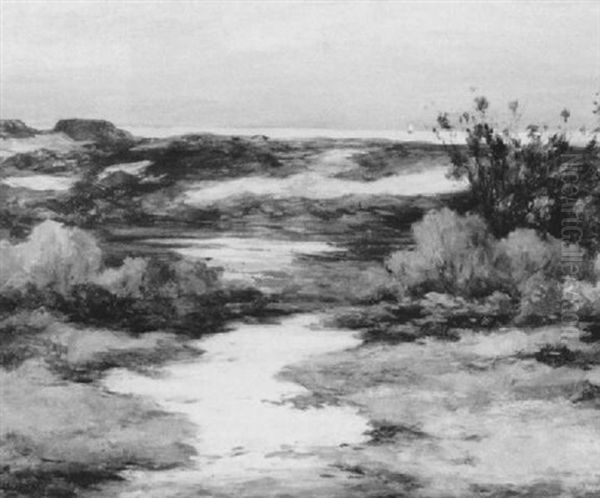Cape Cod Dunes In October - view 1