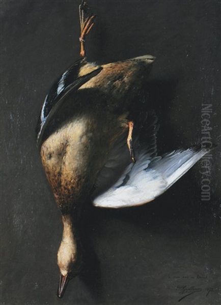 Mallard - view 1