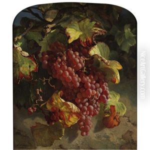 Grapes On A Vine by Theude Groenland