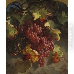 Grapes On A Vine by Theude Groenland